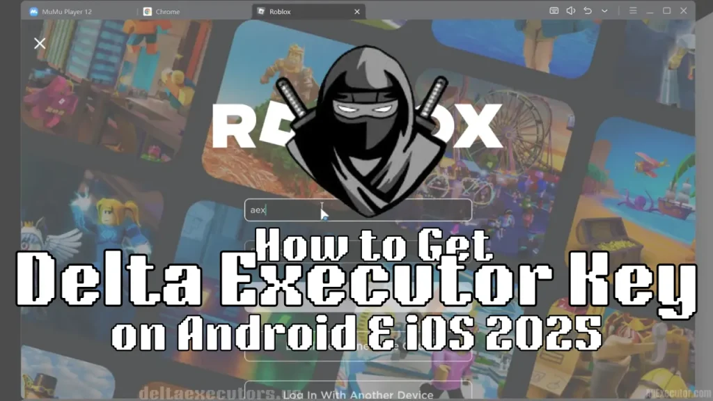 how to get delta executor key